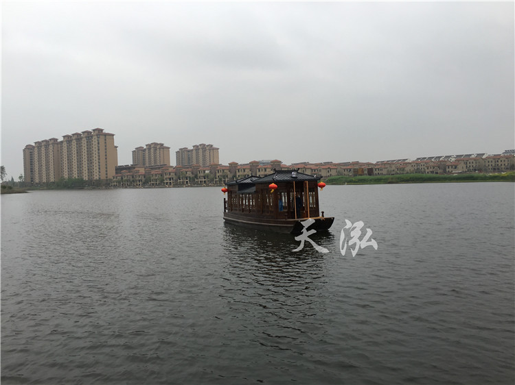 观光小画舫船004